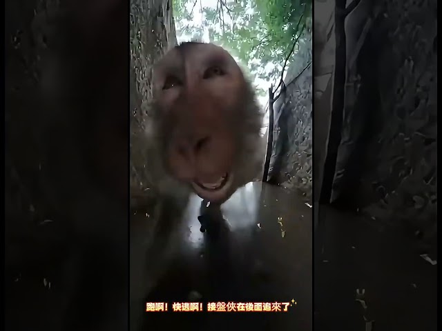 投資客聽到『台積電不去龍潭』的消息後.