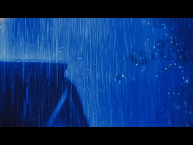 INSTANT Deep Sleep,HEAVY RAIN on Tin Roof & LOUD Thunder | Rainforest Night Sounds