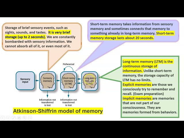 TLA 2 Understanding Learning Process