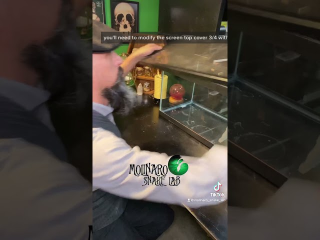 Enclosure Modification to Help Maintain Ball Python Humidity