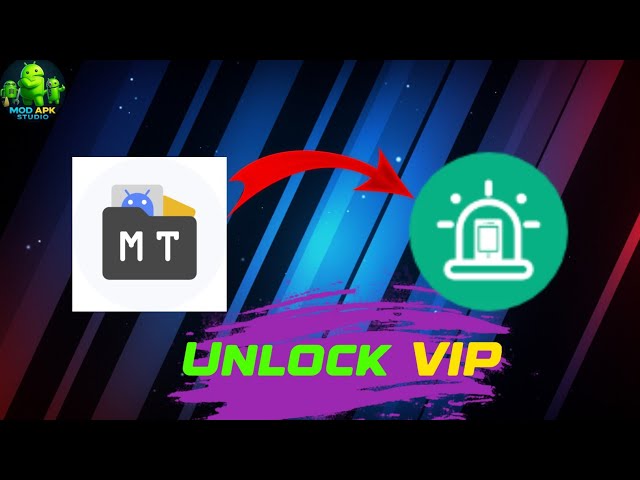 How to use Mt manager new