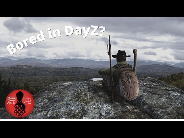 Things to do in dayz when you are bored