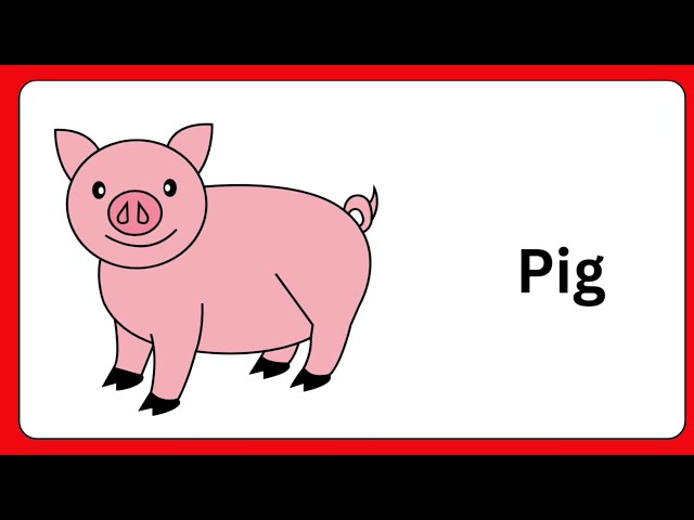 daily use words for kids | kids learning videos | words learning for kids