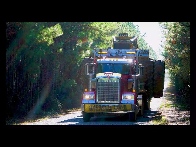 Cutting Edge Logging LLC | Gods Country