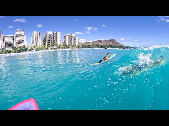 Surfing the Most Perfect Waikiki Waves | Magic Blue Queens | RAW POV