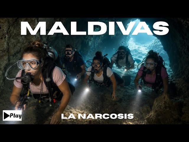 Nitrogen Narcosis and Disorientation: Anatomy of a Technical Diving Disaster