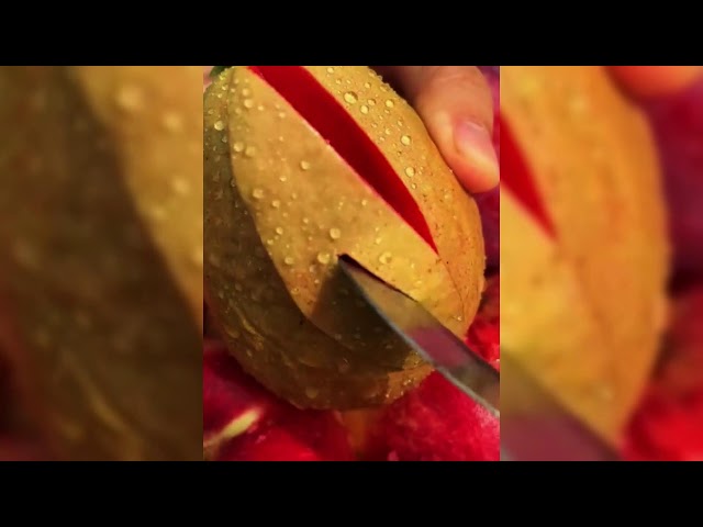 EXCLUSIVE FASTEST CARROT HARVESTING PROCESS WITH ADVANCED TOOL!