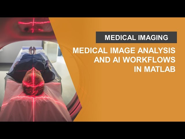 Medical Image Analysis and AI Workflows in MATLAB