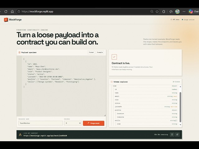 Turn Raw JSON into a Live Mock API — No Backend Required