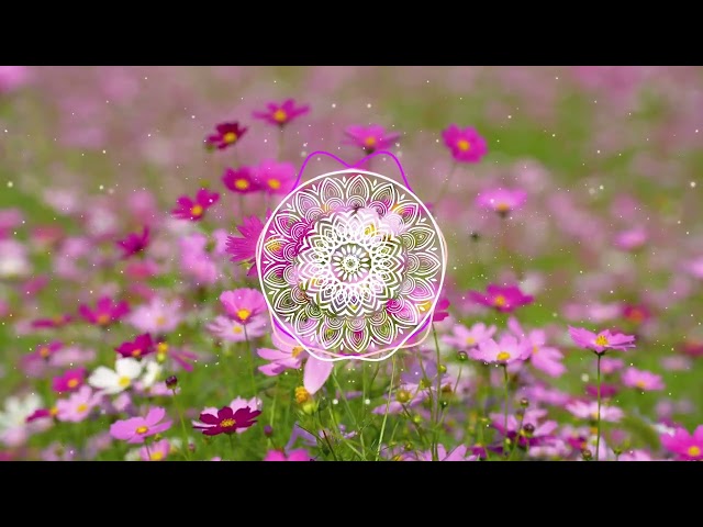 soft background music
