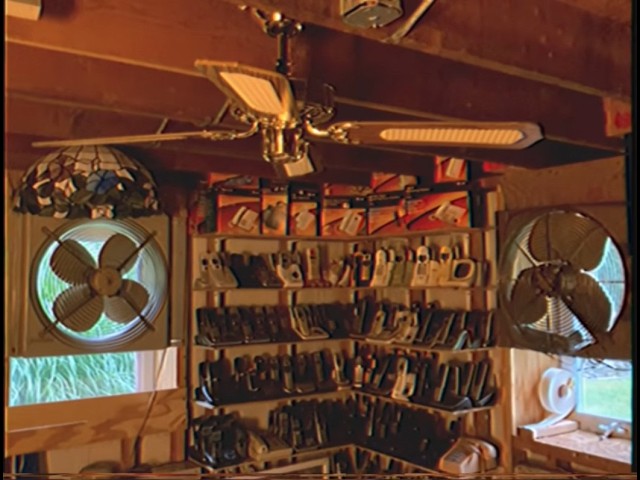 Ceiling Fans in My House 8/2026