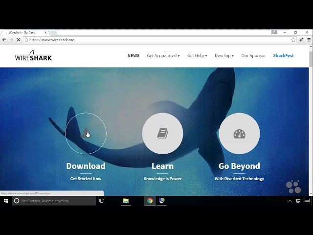 41   LDAP Enumeration Example