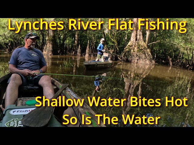 Lynches River Bream Shellcracker Fishing Beatdown