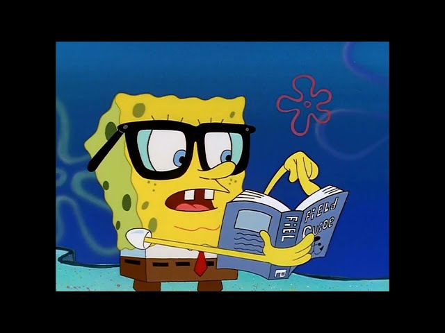 SpongeBob SquarePants - SpongeBob meets Sandy Cheeks