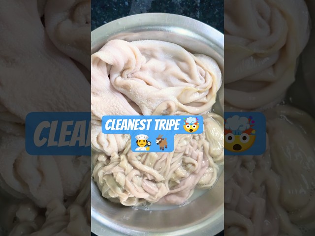 How to clean Goat Tripe & Intestine | Cooking Prep ASMR #shorts