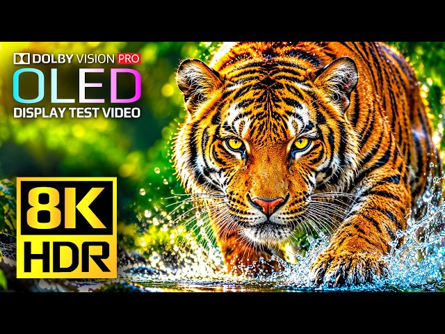 OLED Display Test - Dolby Vision HDR 8K 120 FPS (4K Video Ultra HD TV)