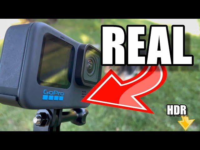 Go Pro Hero 🔟  Dolby Vision HDR