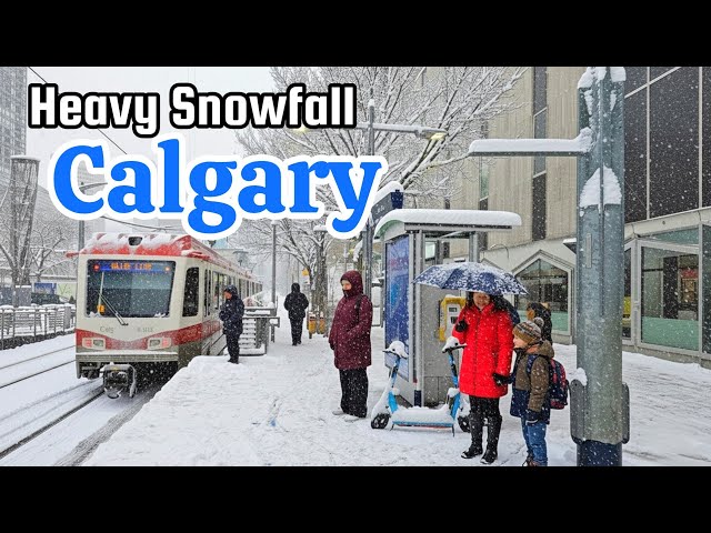 Snowfall in Calgary Alberta Canada on November 2025 #canada #calgary #snow #snowfall #yyc 