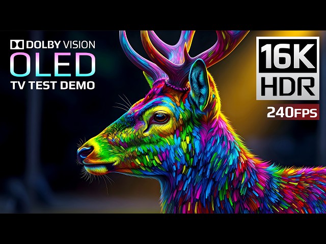 Unmatched Depth | 16K HDR 240fps Dolby Vision (4K/8K TV Demo)