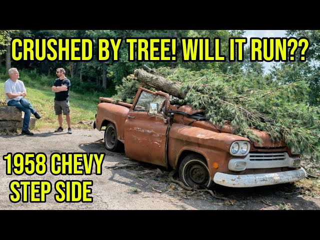 Can we Save it? 1958 Chevy Step Side. Will it Run?? 