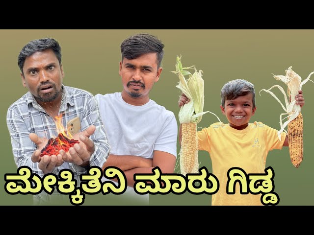 ಗೋಂಜಾಳ ಮೆಕ್ಕಿತೆನಿ ಮಾರು ಗಿಡ್ಡ||Ghonjal Makkitani Maru Gidda 