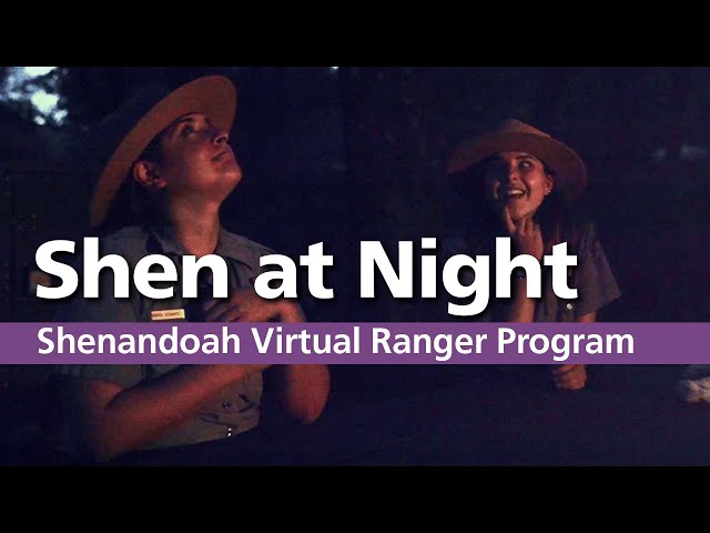 Virtual Junior Ranger Program: Shen at Night