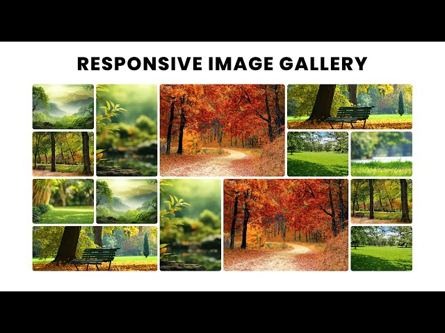 Grid tutorial || CSS Project || Responsive Image Gallery