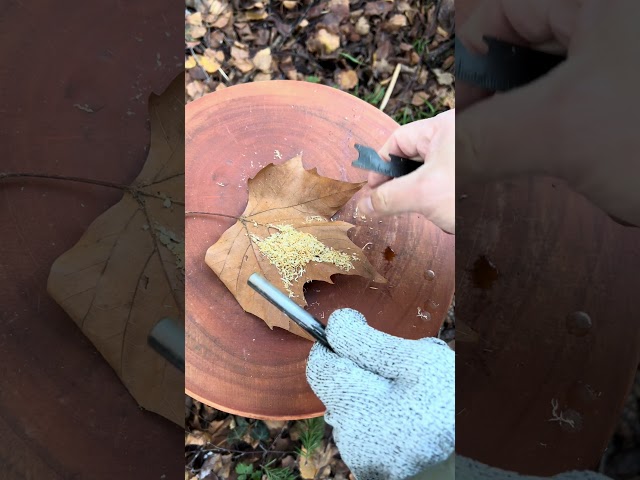 SURVIVAL: Can You REALLY Start a FIRE with JUST Fat Wood Shaving?
