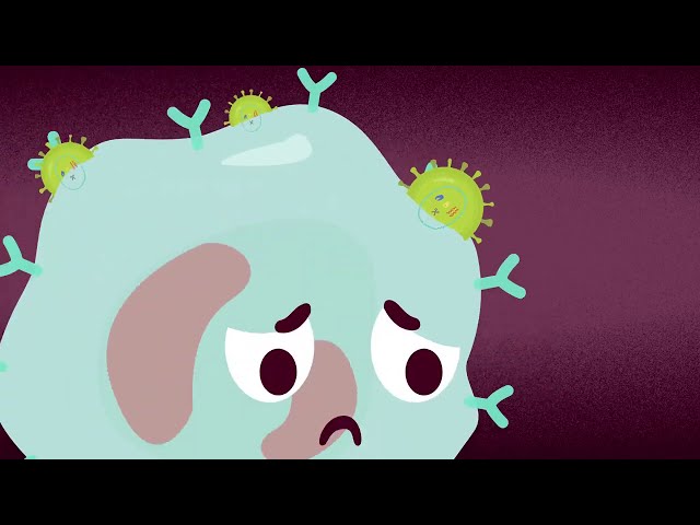 Understanding HIV and Its Treatment