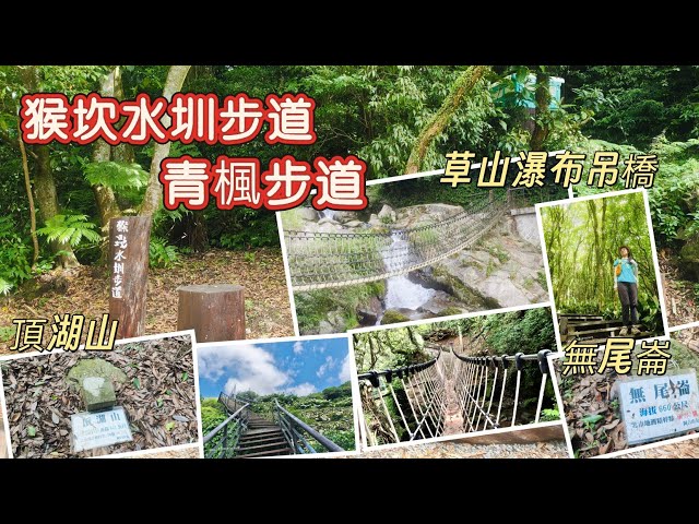 台北北投 陽明山 半日遊系列 草山瀑布吊橋 全新完工 猴坎水圳步道   青楓步道 頂湖山 無尾崙 連走 2026/05/17