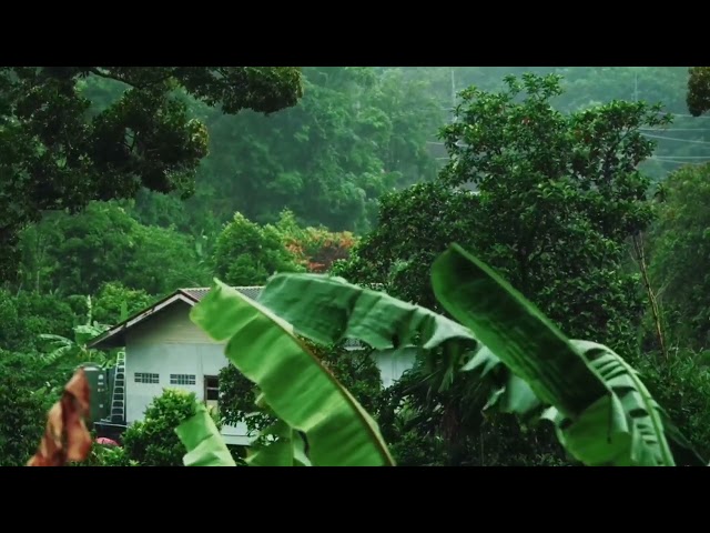 Just turn this on and drift off, heavy rain sounds for the most peaceful sleep experience