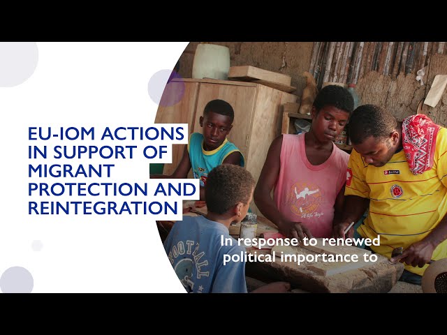 Knowledge Management Hub: supporting migrants protection and assistance