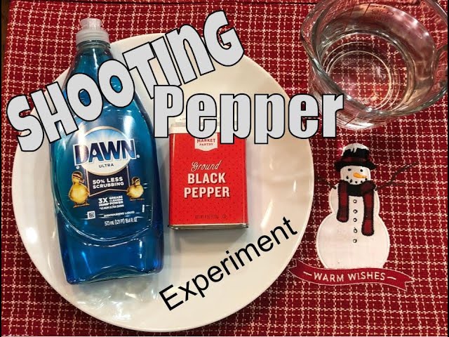 Shooting Pepper Science Experiment (Surface tension changes)