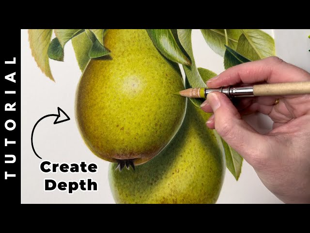 How To Draw A Realistic Pear In Colored Pencil l Drawing Tutorial