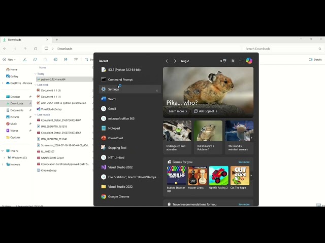 Python Installation 3.12.4