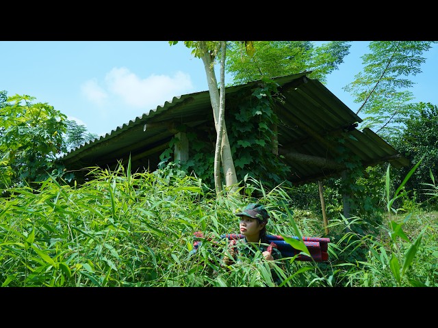 Female Veteran’s Life Took a Turn… She Rebuilt an Abandoned House Deep in the Forest