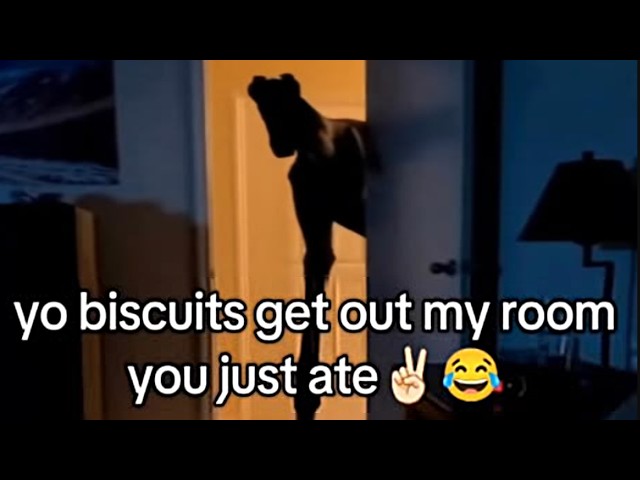 Terrifying Memes