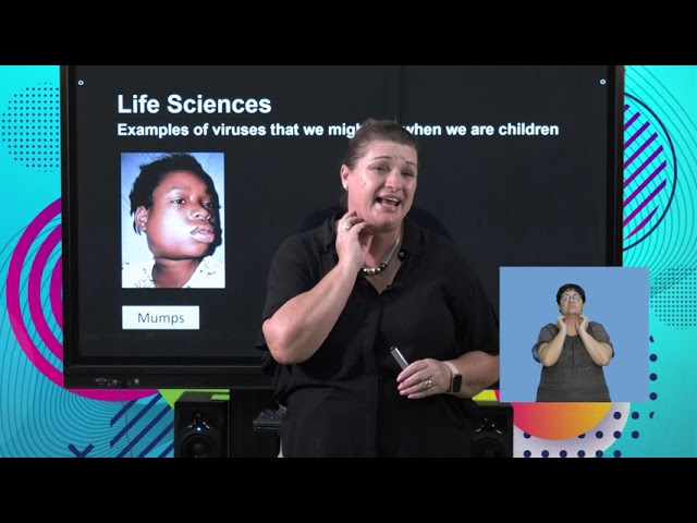 Life Sciences Grd 11 Viruses