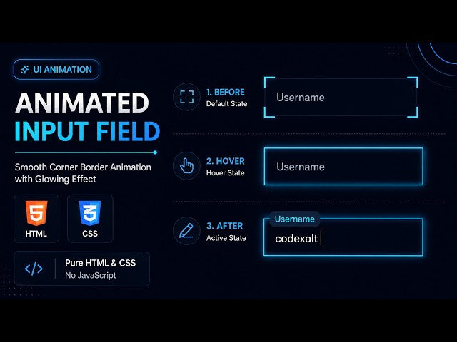 Build animated Input Field with HTML & CSS