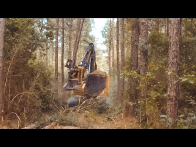 Tons Of Wood Cut, How Far Ahead Can The Cutters Get
