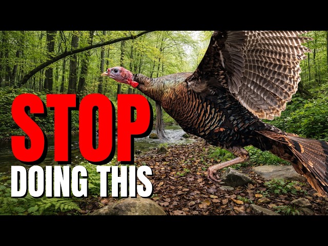 5 Turkey Hunting Mistake's That Are Keeping You From Killing Birds