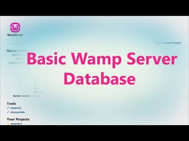 Basic Wamp Server, Add, Delete table and Database, insert value into the table.