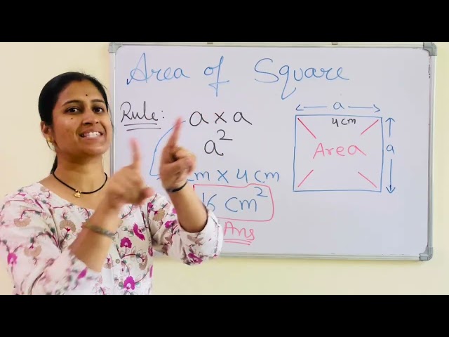 Area of Rectangle | Square | Triangle