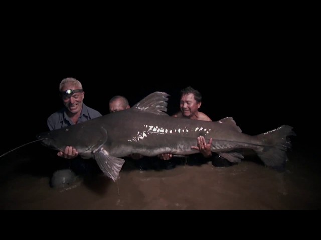 River Monsters and World Fish Migration Day 2018