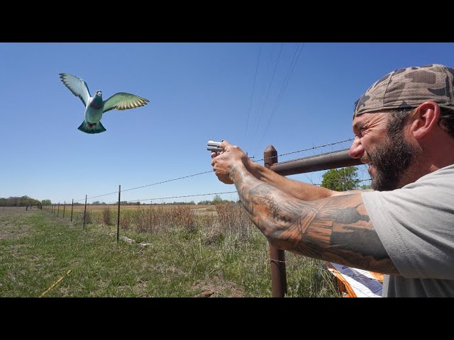 Worlds Smallest Double Barrel .410 Pigeon Hunt CHALLENGE!!
