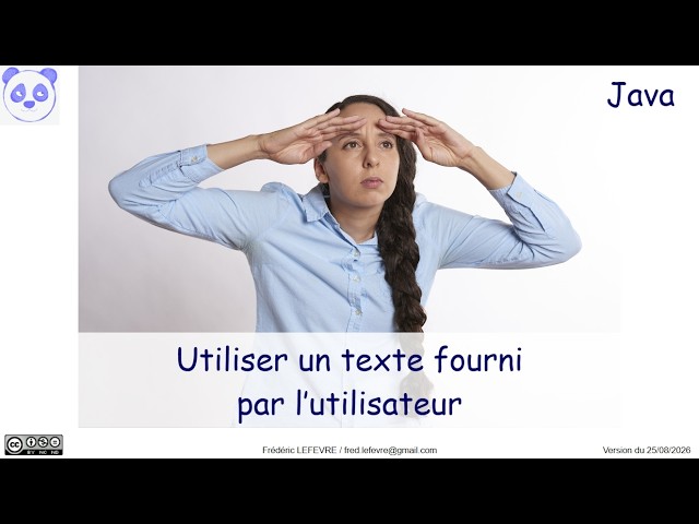 Using User-Provided Text in Java