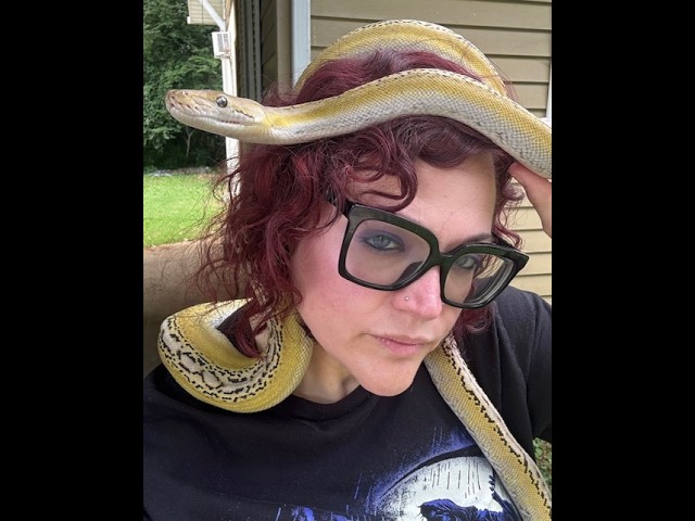 Voidkiss Has Arrived | New Reticulated Python Unboxing