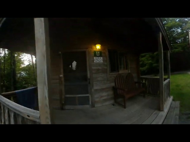 Walkabout in the woods