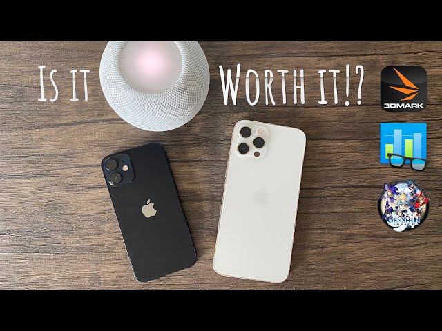 iPhone 12 Mini vs iPhone 12 Pro Max - Performance Review + Genshin Impact FPS Test.