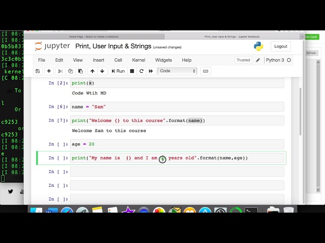 Print, User input & Strings in Python